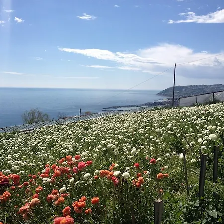 Гостевой дом Mont Des Oliviers Citra-8055lt-1805 E 1807