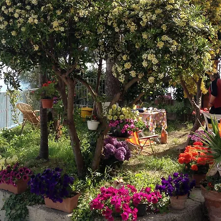 Mont Des Oliviers Citra-8055lt-1805 E 1807 Гостевой дом 3*