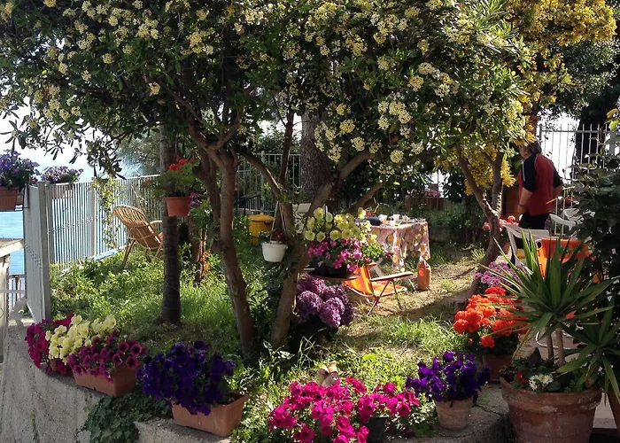 Villa Mont Des Oliviers Citra-8055Lt-1805 E 1807 Pensionat 3*